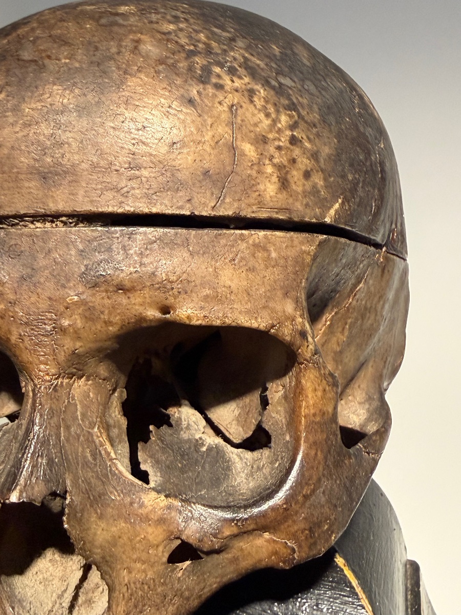 Ancient Anatomical Human Skull-photo-4