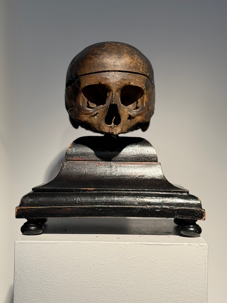 Ancient Anatomical Human Skull-photo-6