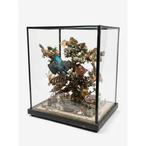 Taxidermy diorama d'oiseaux