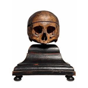 Ancient Anatomical Human Skull