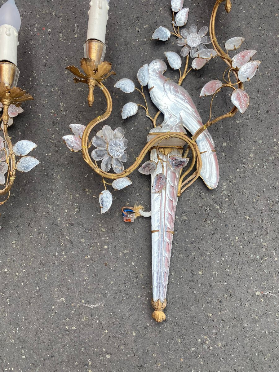 1950/70′ Pair Of Parakeet Wall Lights Resting On A Sheath, Maison Baguès H 63 Cm-photo-3