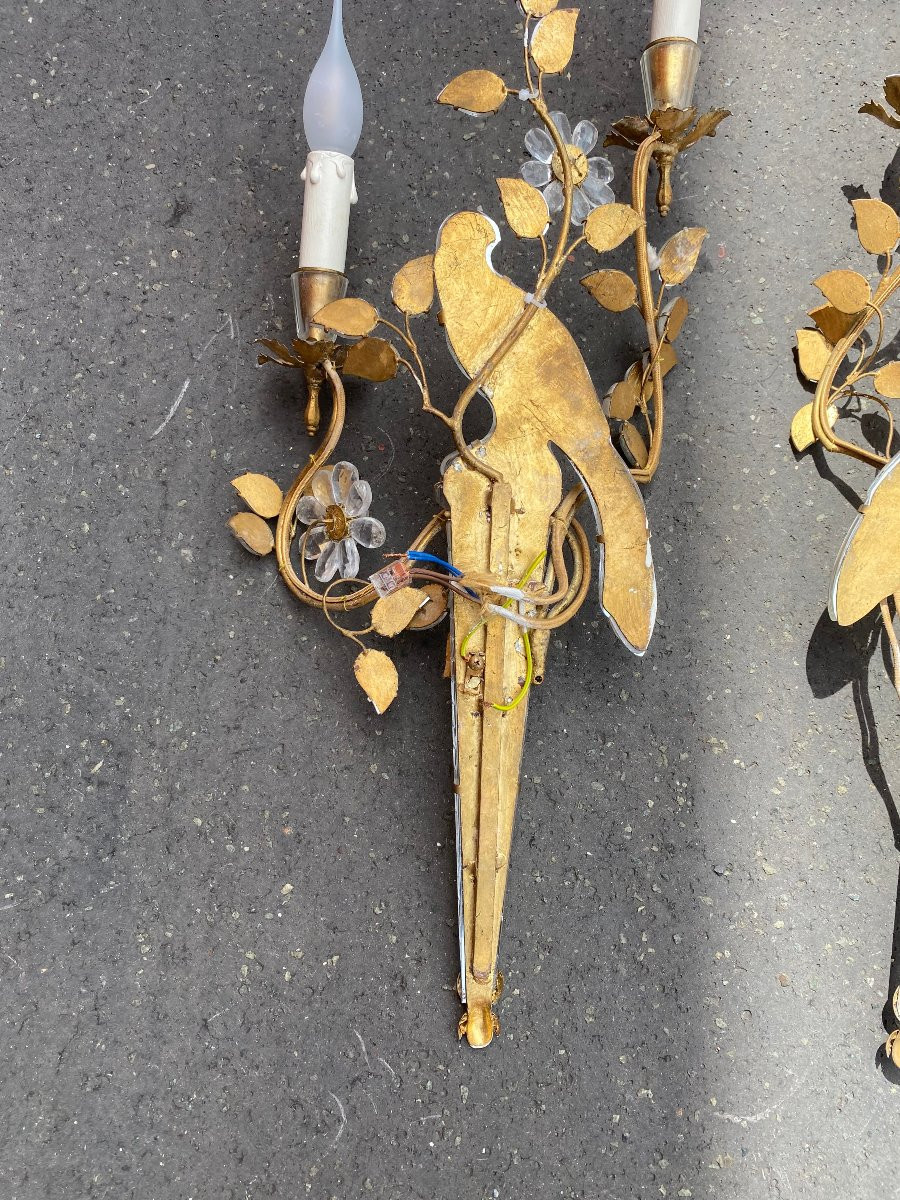 1950/70′ Pair Of Parakeet Wall Lights Resting On A Sheath, Maison Baguès H 63 Cm-photo-7