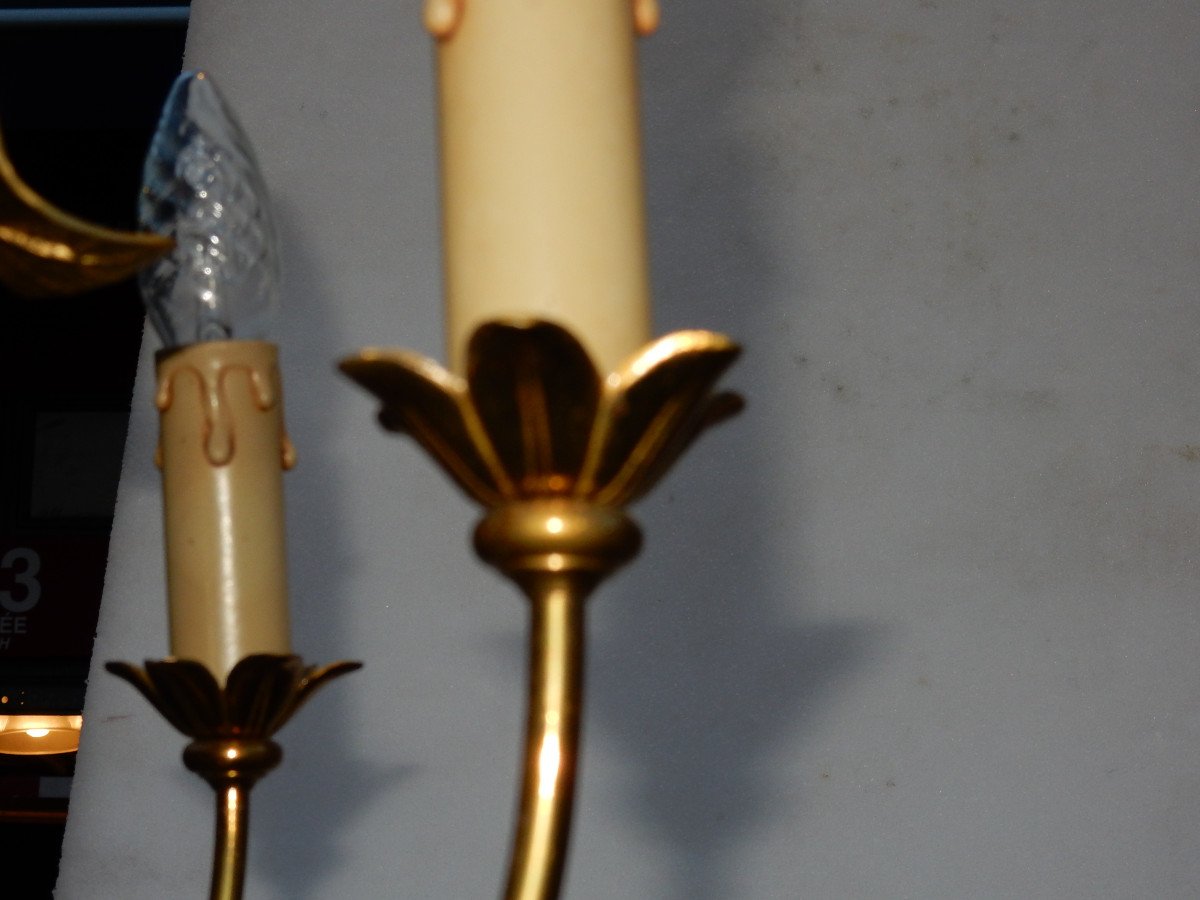1970 'chandelier Aux Plantins Style Maison Jansen-photo-2