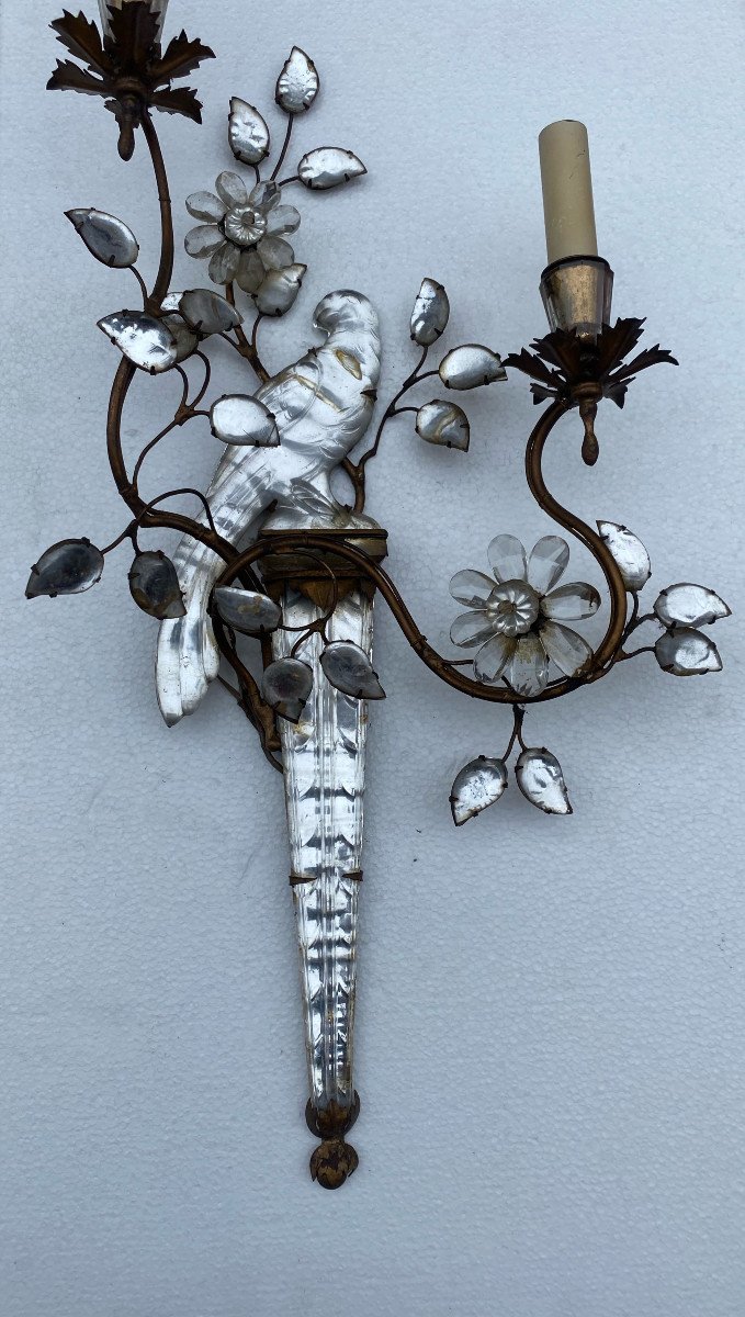 1950/70 ′ Pair Of Wall Lights With The Parakeet Placed On A Sheath, Maison Baguès H 63 Cm-photo-1