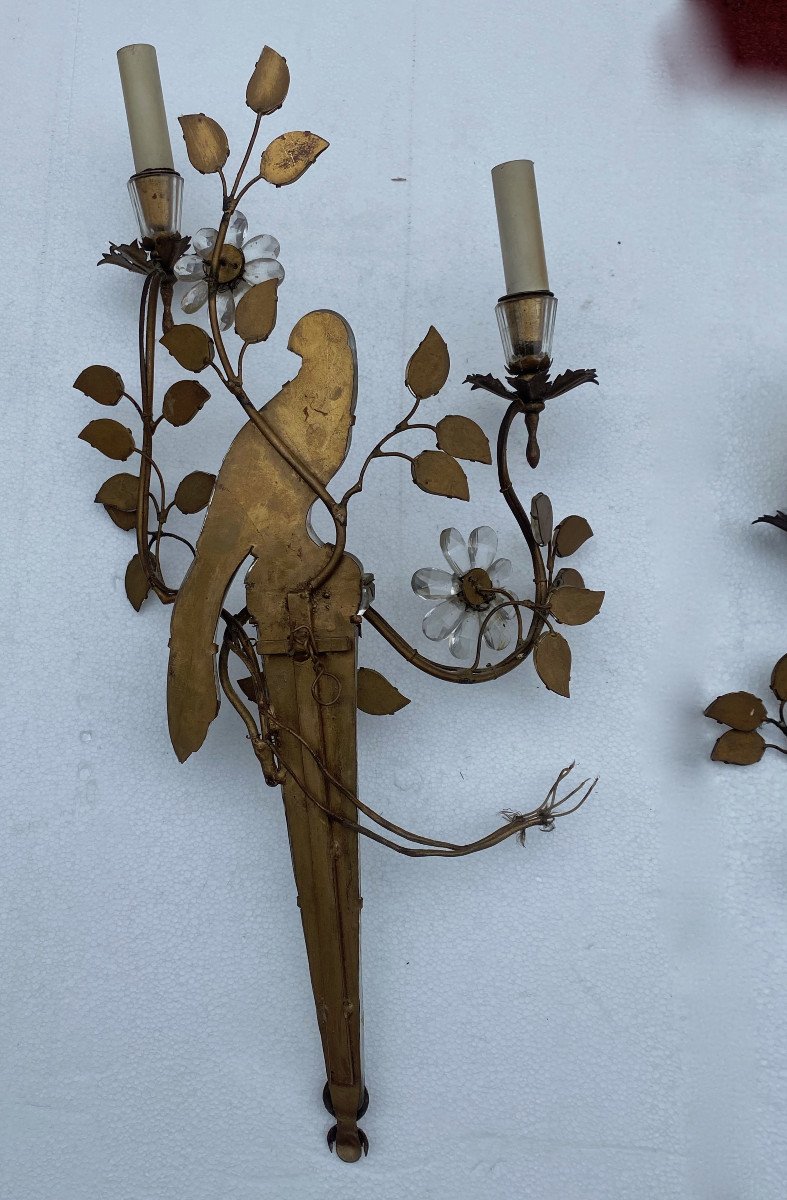 1950/70 ′ Pair Of Wall Lights With The Parakeet Placed On A Sheath, Maison Baguès H 63 Cm-photo-2