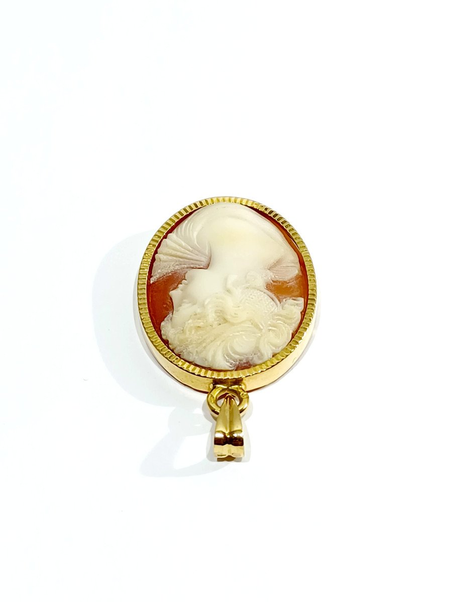 Gold Pendant And Shell Cameo  -photo-3