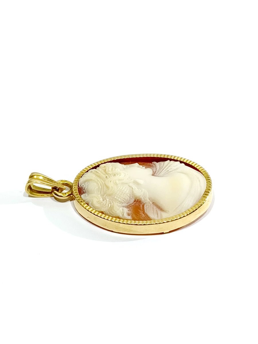 Gold Pendant And Shell Cameo  -photo-4