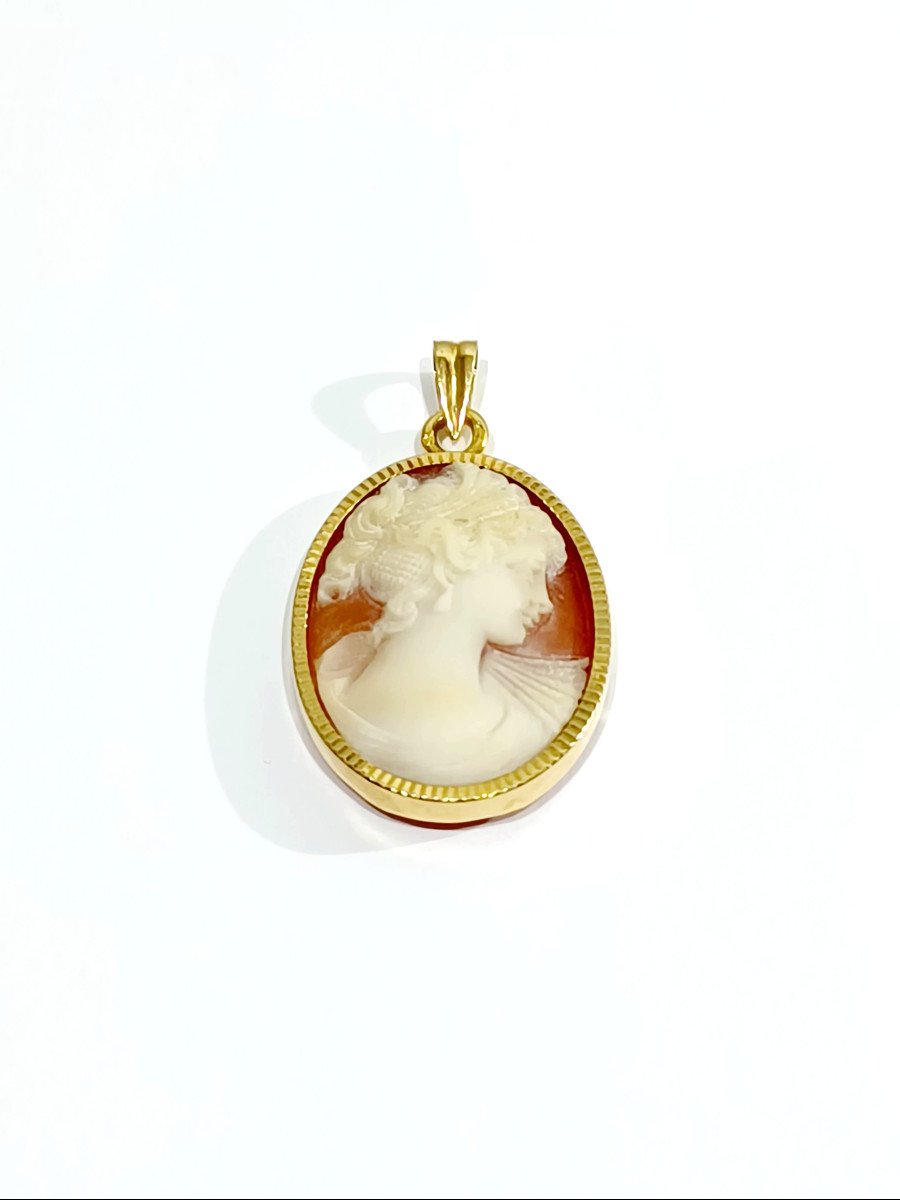 Gold Pendant And Shell Cameo  