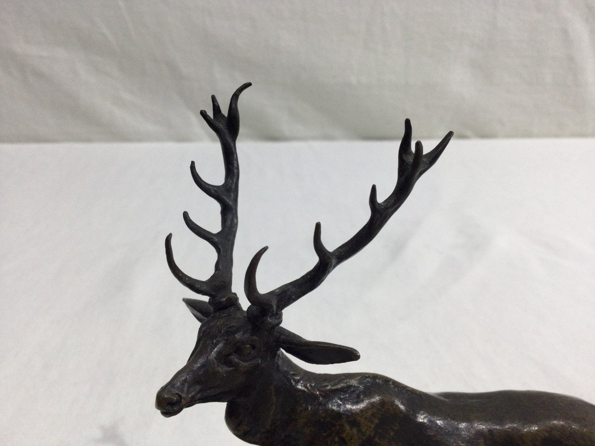 Pierre-jules Mêne - Cerf En Bronze-photo-4