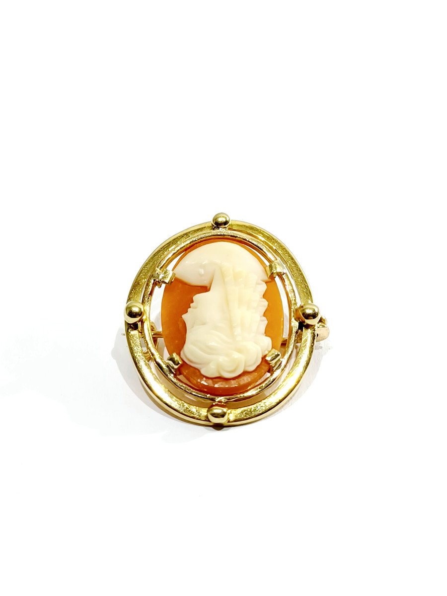 Broche camée coquillage-photo-4
