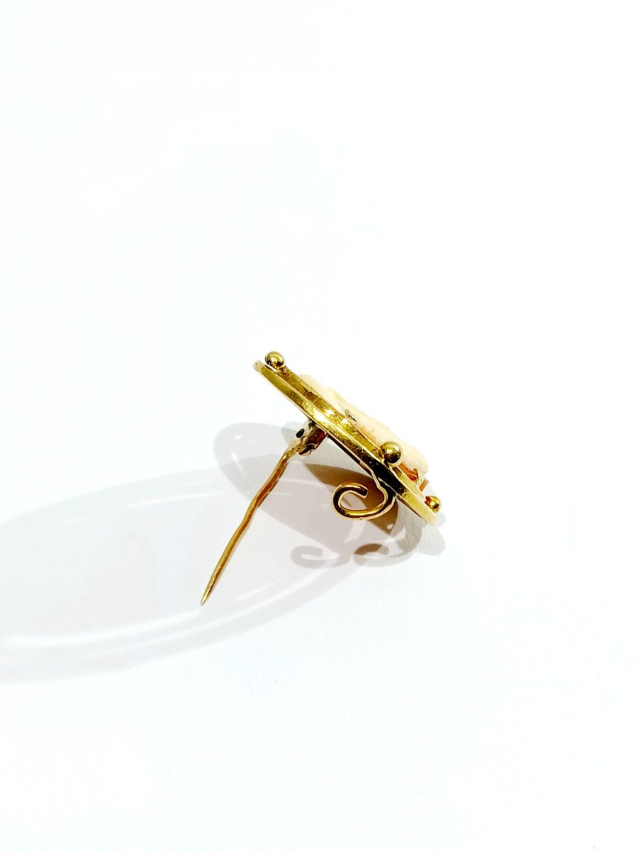 Broche camée coquillage-photo-3