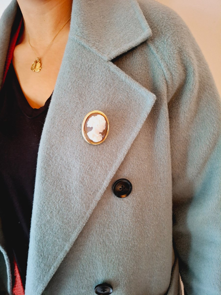 Pendentif Broche Camée Agate-photo-6