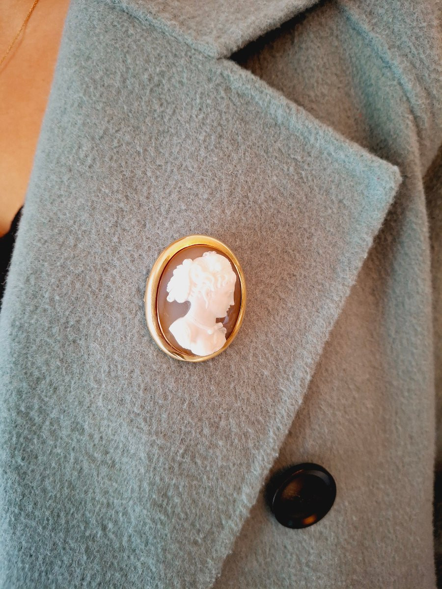 Pendentif Broche Camée Agate-photo-7