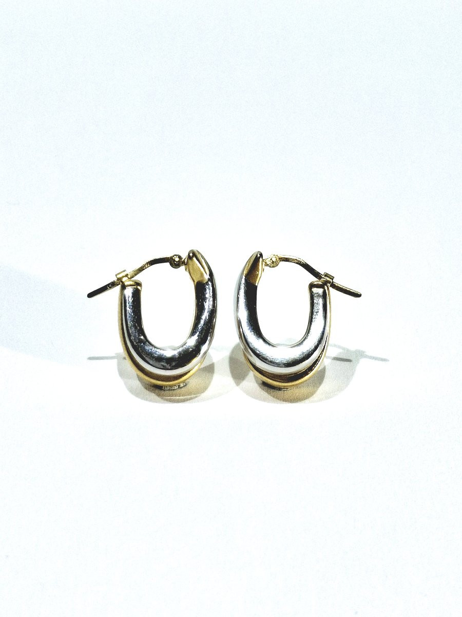 Yellow And White Gold Earring-photo-2