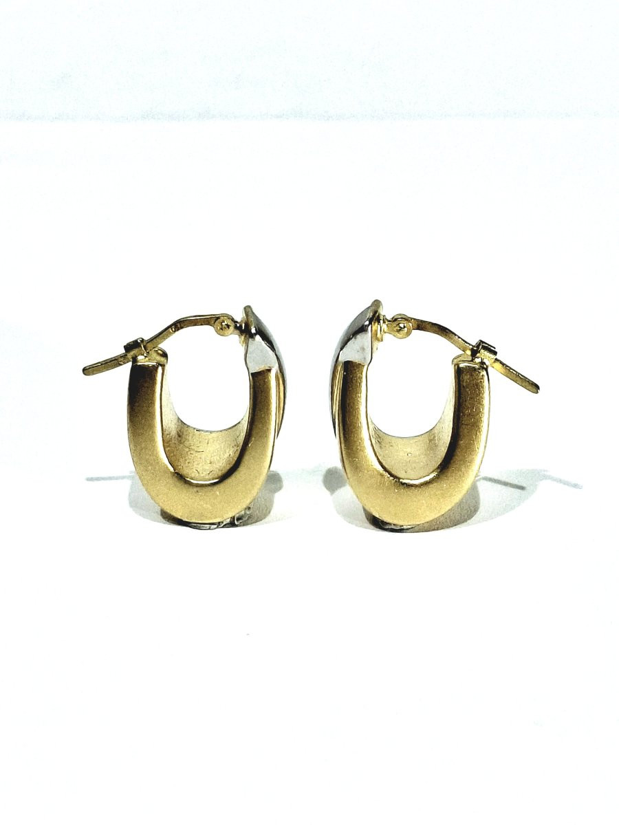 Yellow And White Gold Earring-photo-1