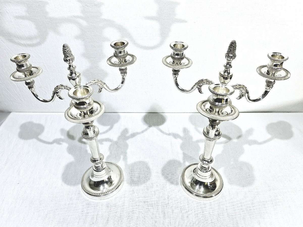 CHRYSALIA - PAIRE DE CANDÉLABRES EN BRONZE ARGENTÉ -photo-6