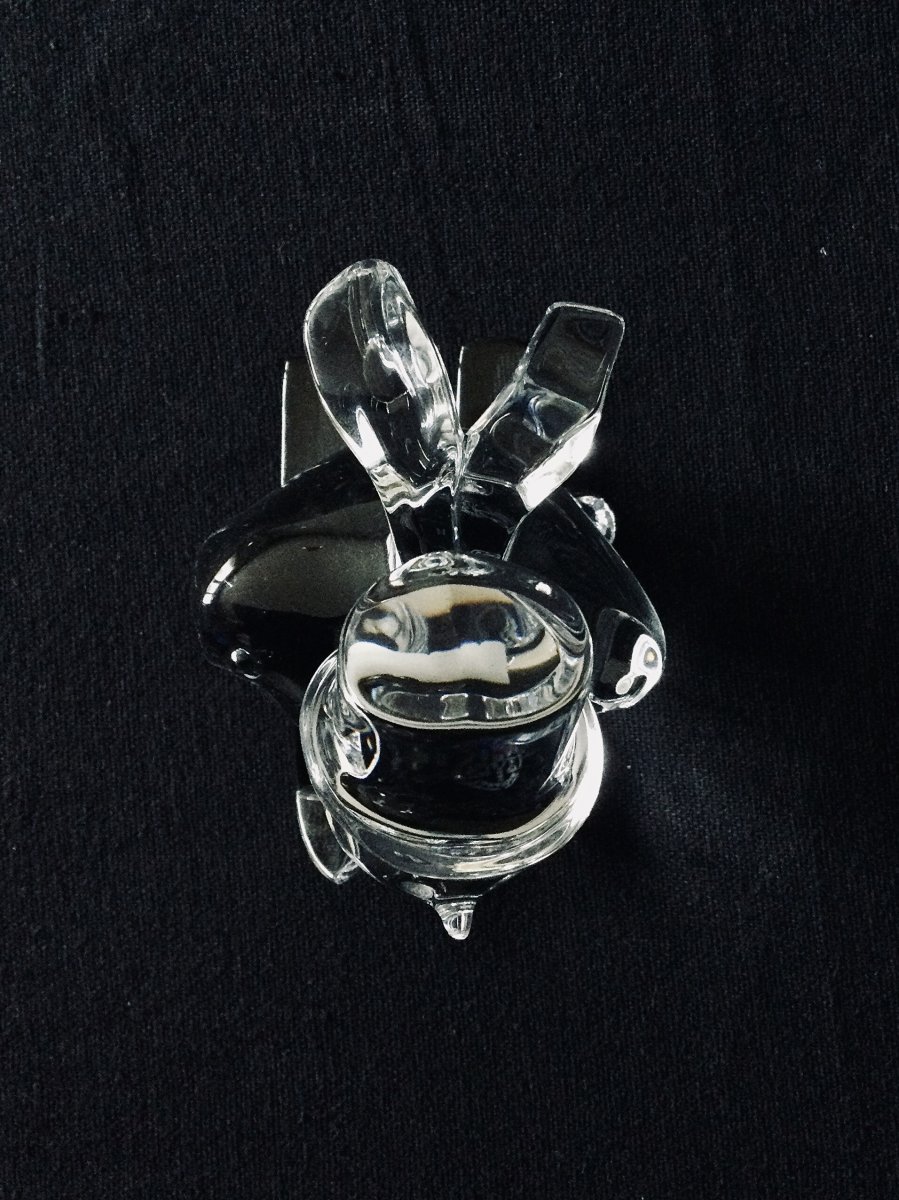 Baccarat Paperweight-photo-4
