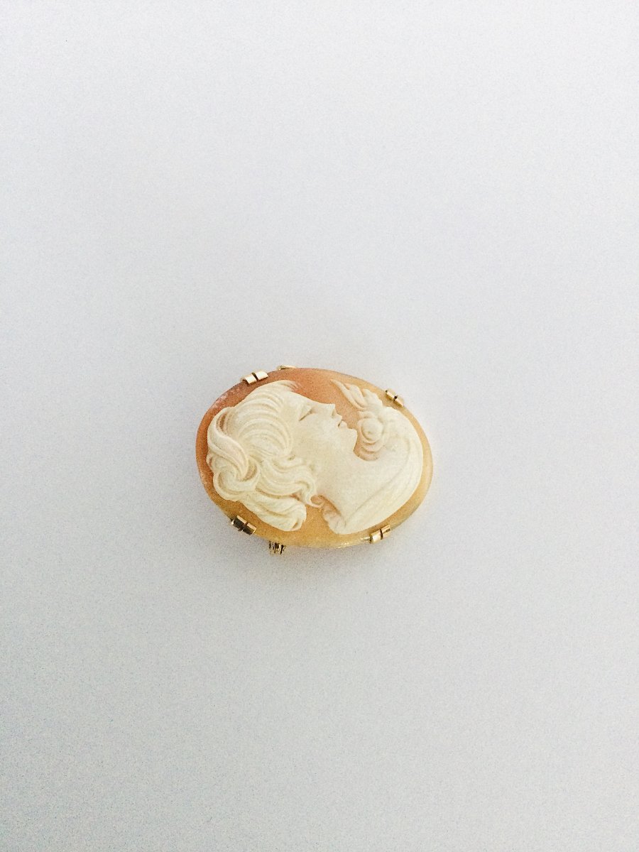 Broche Camée Coquillage En Or -photo-4