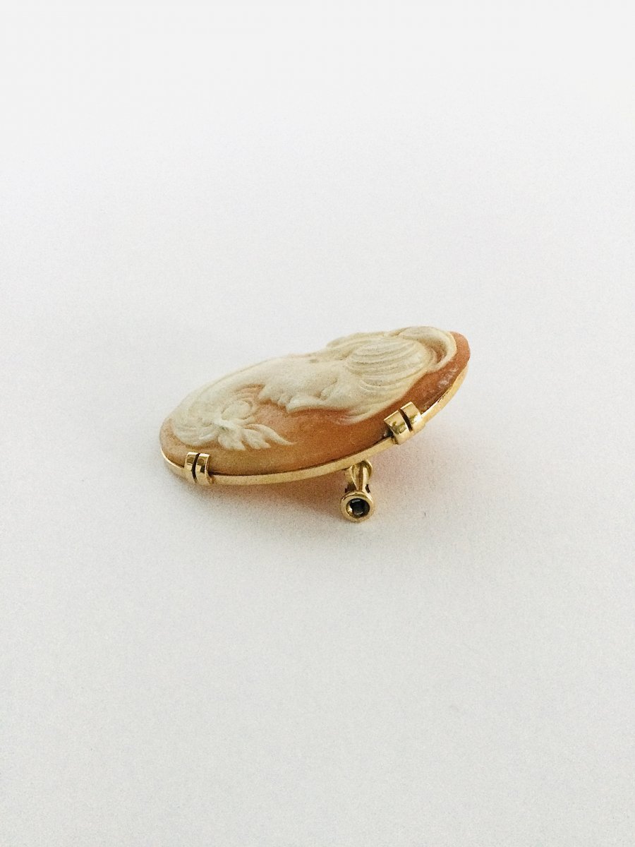 Broche Camée Coquillage En Or -photo-1