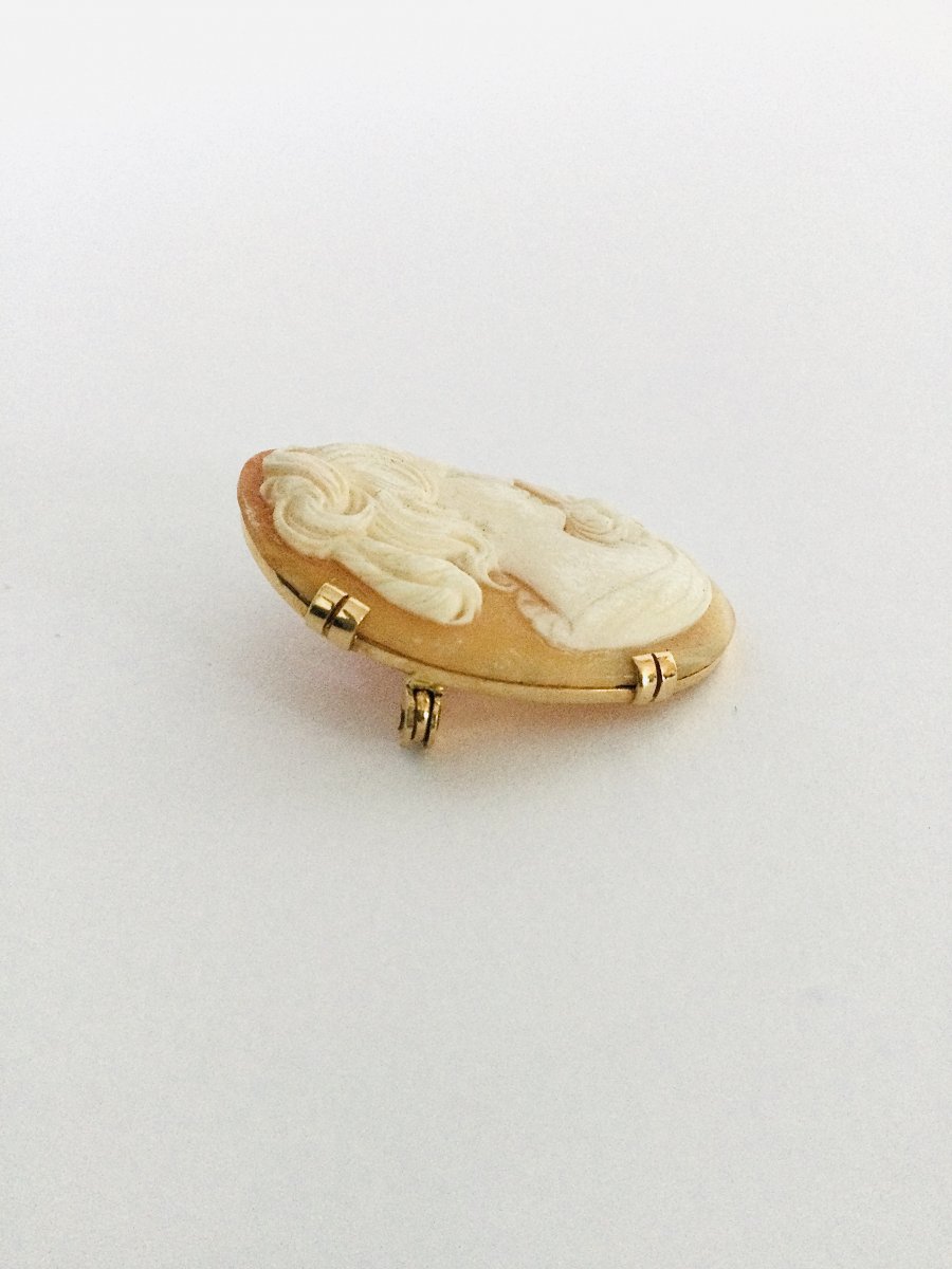 Broche Camée Coquillage En Or -photo-2