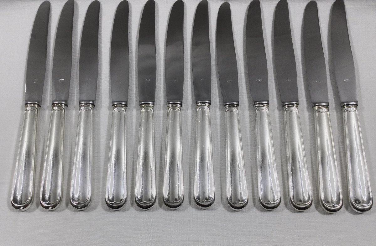 12 Filet Silver Metal Entremet Knives