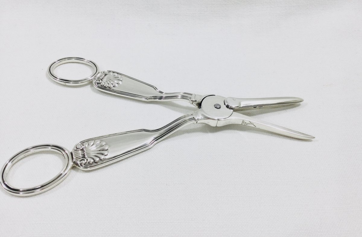England - Sterling Silver Grape Scissors With A Crest-photo-4