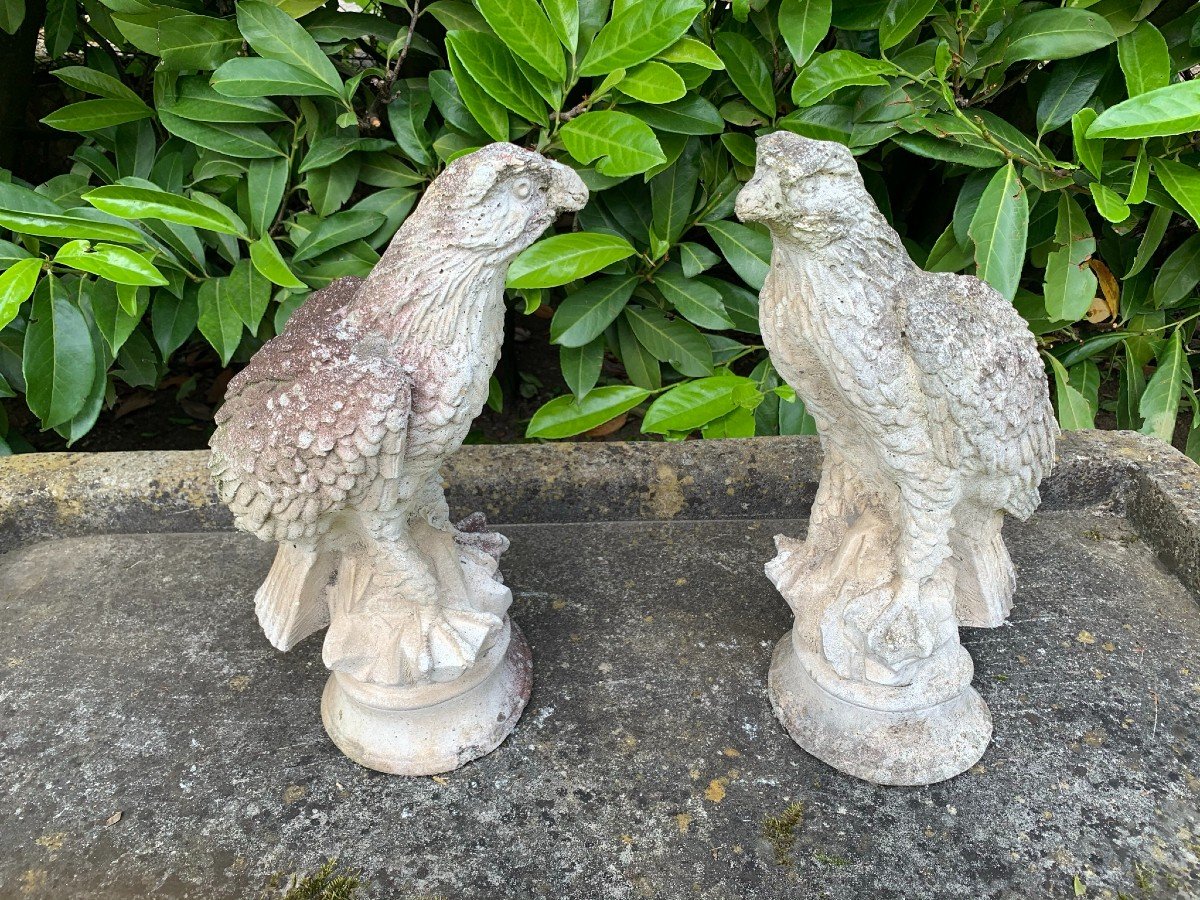 Pair Of Reconstituted Stone Eagles-photo-3