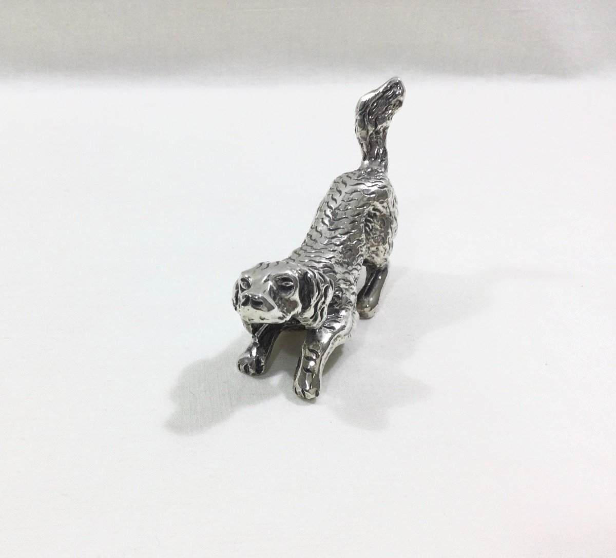 Silver Bronze Dog-photo-1