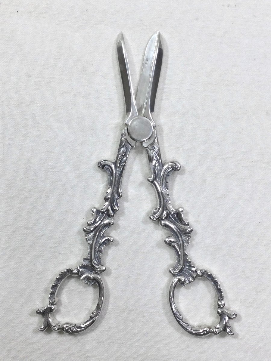 Pair Of Raisin Scissors In Silver-photo-3