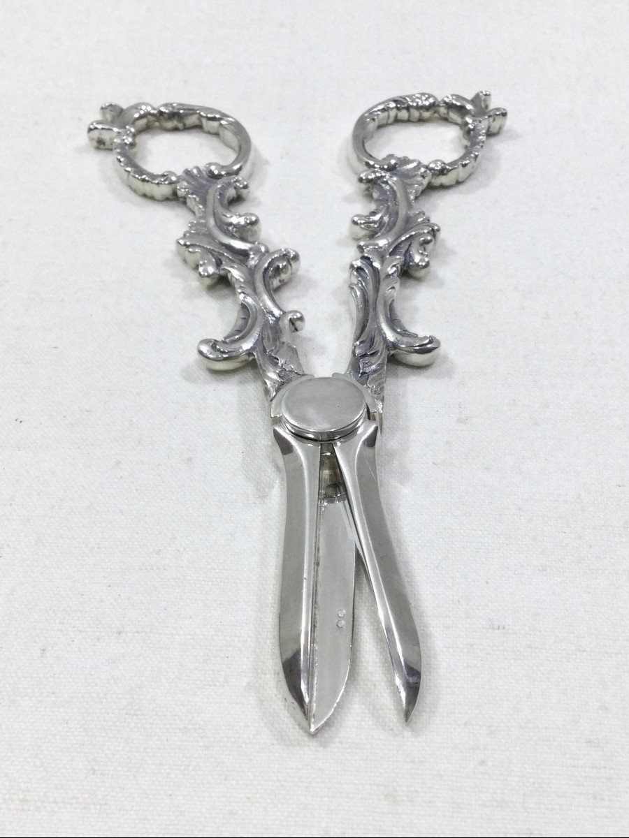 Pair Of Raisin Scissors In Silver-photo-8