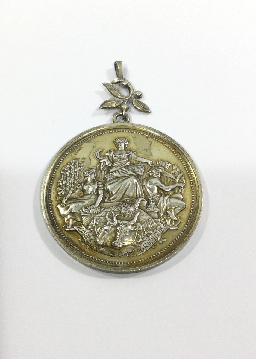 Agricultural Commencement Medal In Vermeil