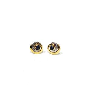 Pair Of Gold And Sapphire Earrings