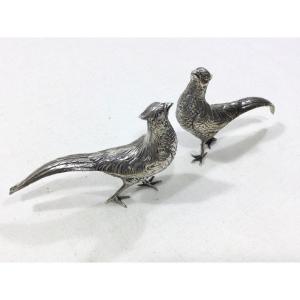 Pair Of Silver Pheasants