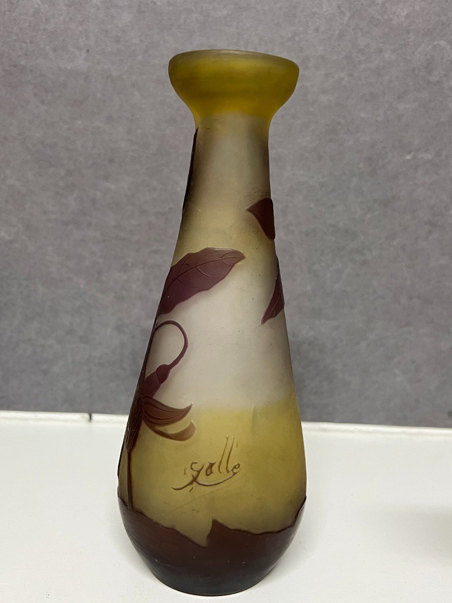 Vase Emile Gallé, Période Art Nouveau, Décor Dégagé A l'Acide-photo-2