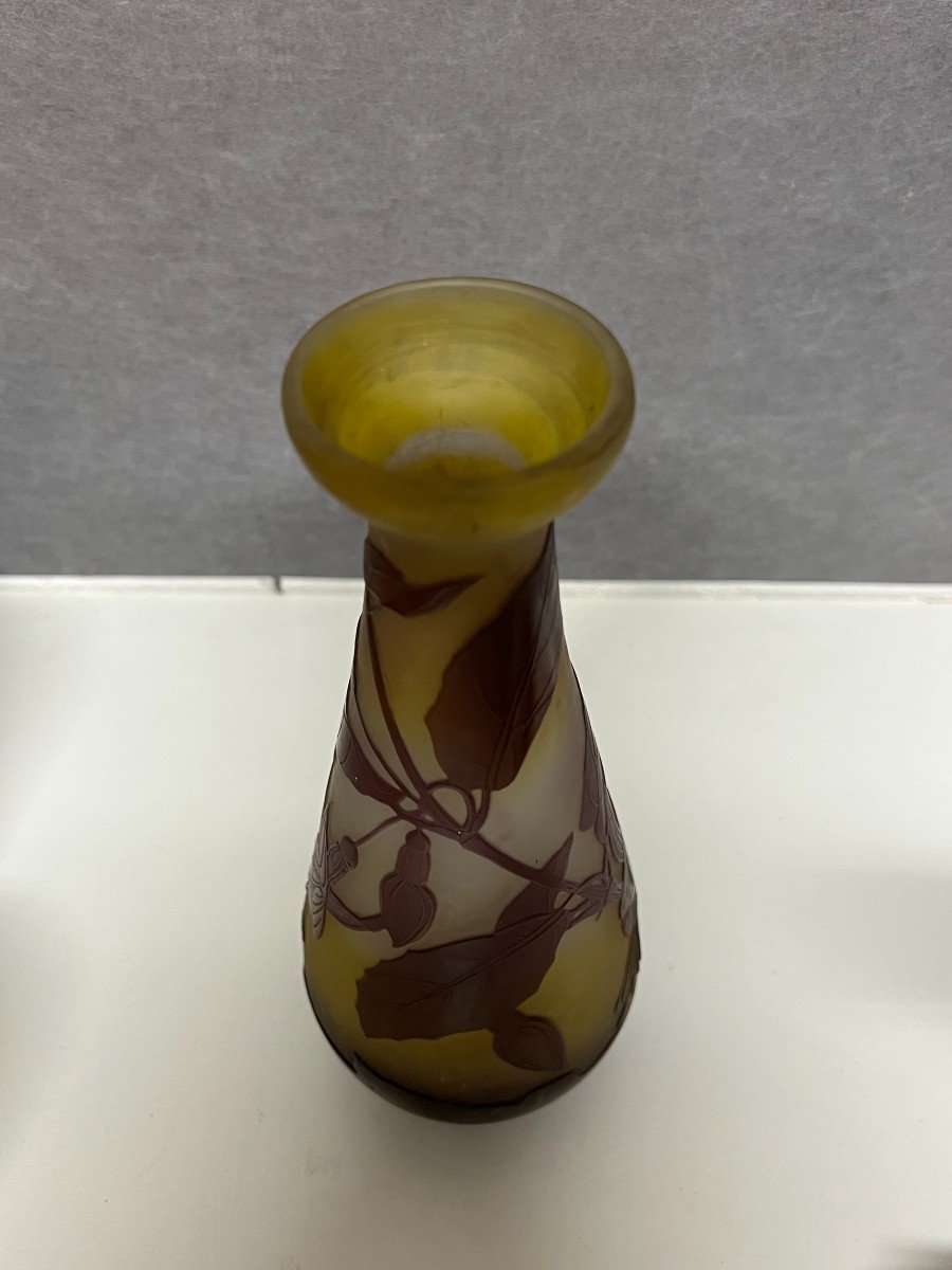 Vase Emile Gallé, Période Art Nouveau, Décor Dégagé A l'Acide-photo-1