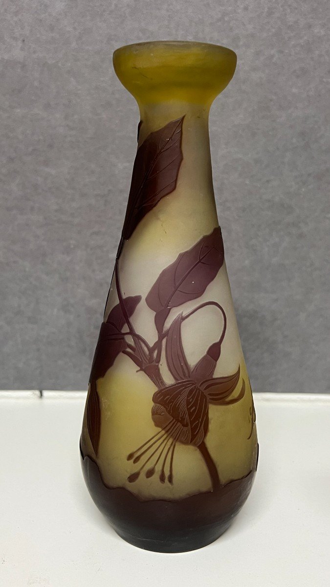 Vase Emile Gallé, Période Art Nouveau, Décor Dégagé A l'Acide