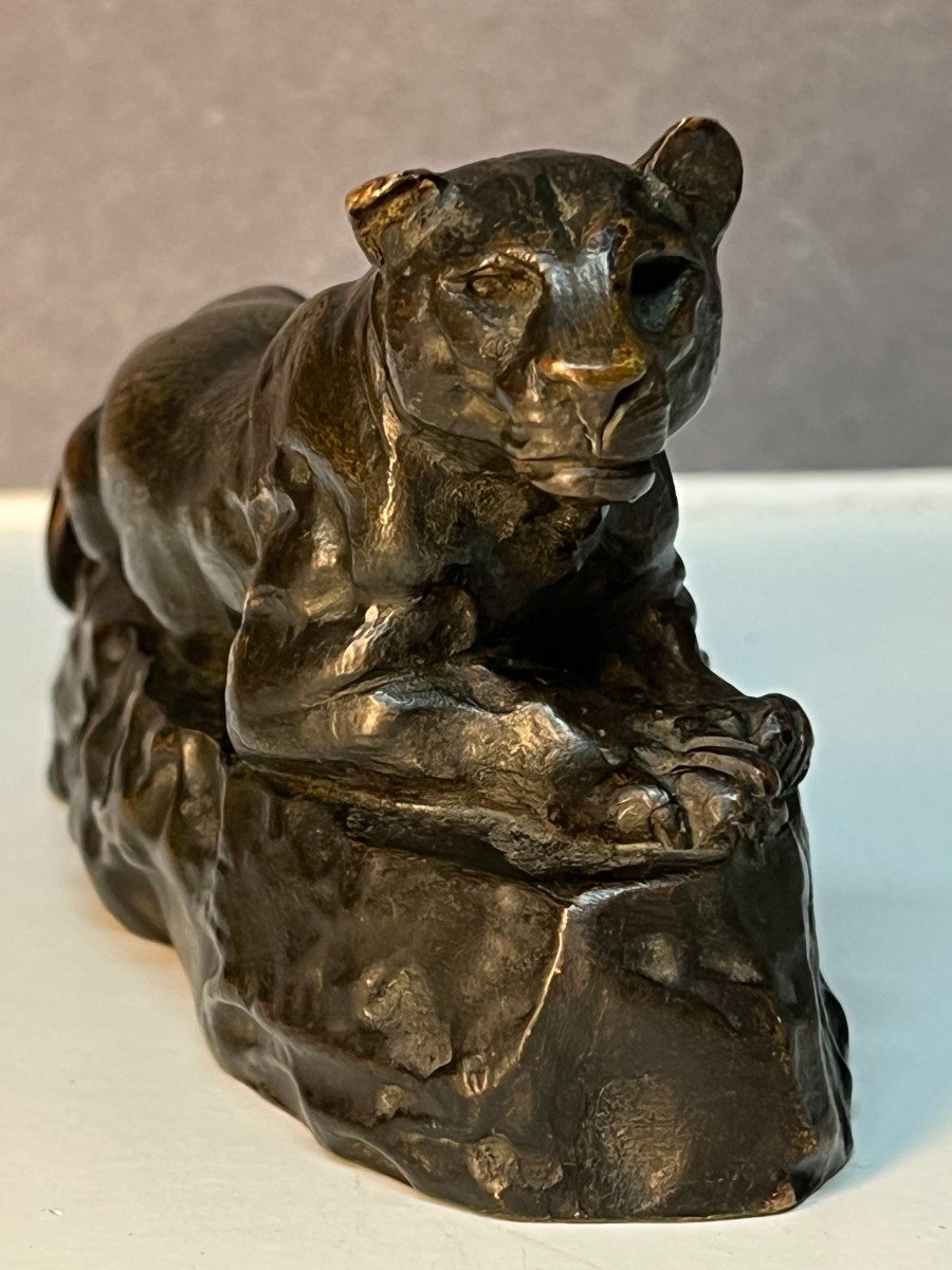 Sculpture Bronze Animalier, Panthère De Tunis No 2,  Par Antoine Louis Barye XIXe siècle-photo-3