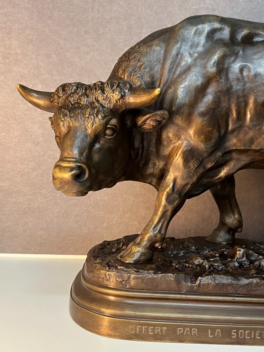 Louis Vidal (the Blind Man) Said Natavel, Large Bronze Sculpture Of A Bull-photo-2