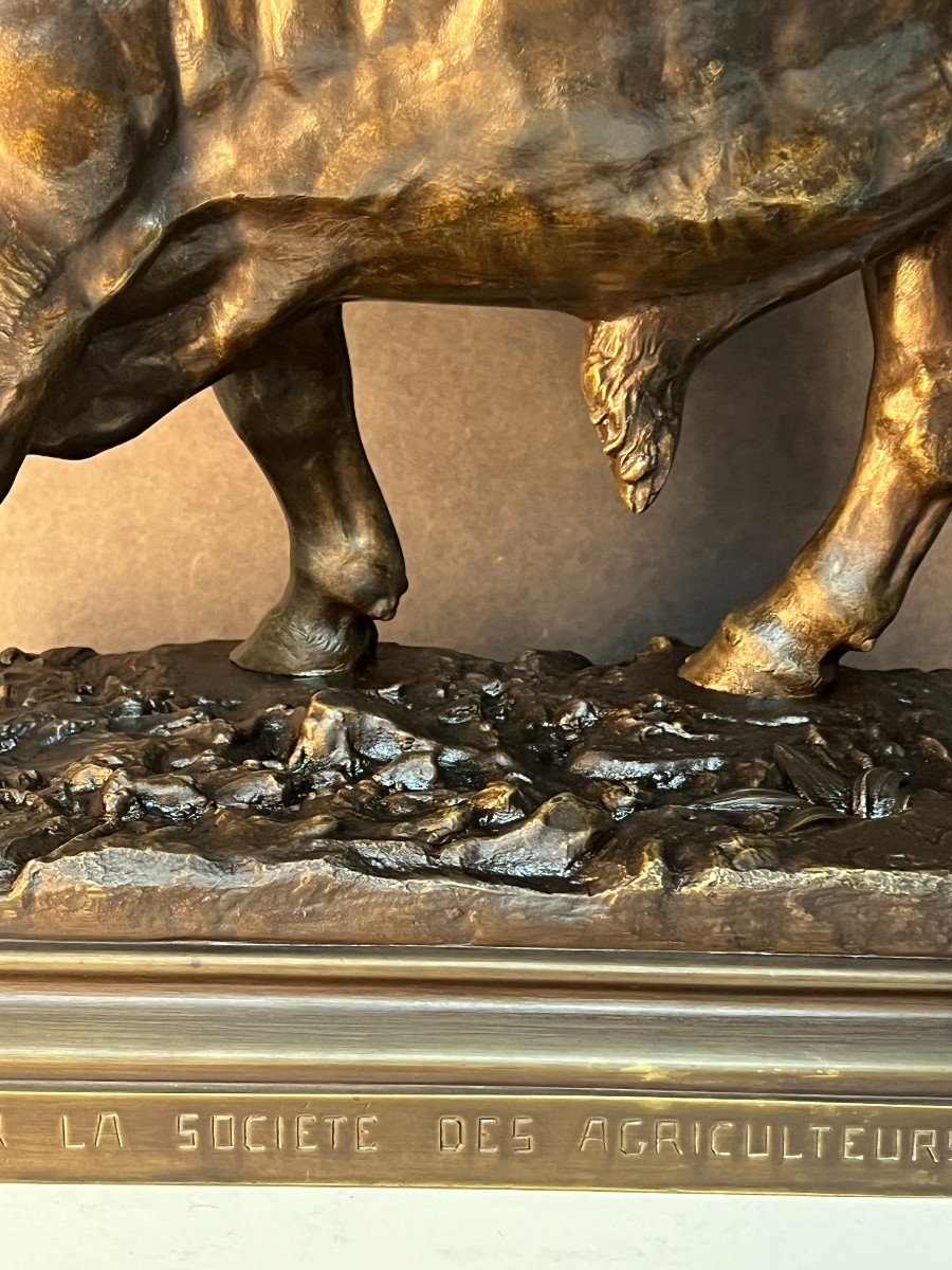 Louis Vidal (the Blind Man) Said Natavel, Large Bronze Sculpture Of A Bull-photo-4