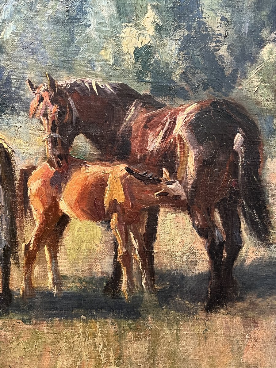 "mares And Their Foals" By Raymond Louis Lecourt (1882-1946), Oil On Antique Canvas-photo-3