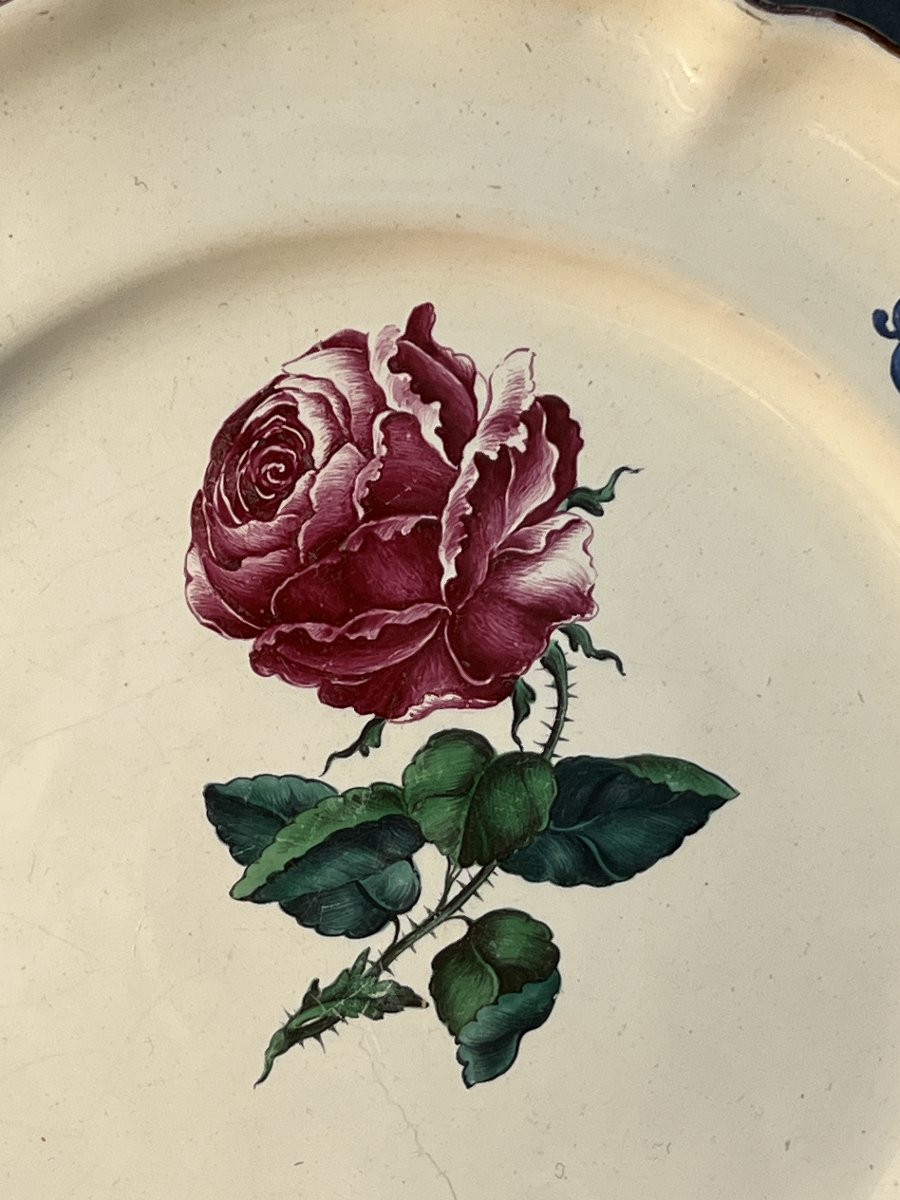 Assiette en faïence de  Strasbourg époque XVIIIe siècle par Paul Hannong , diamètre 25 cm-photo-3