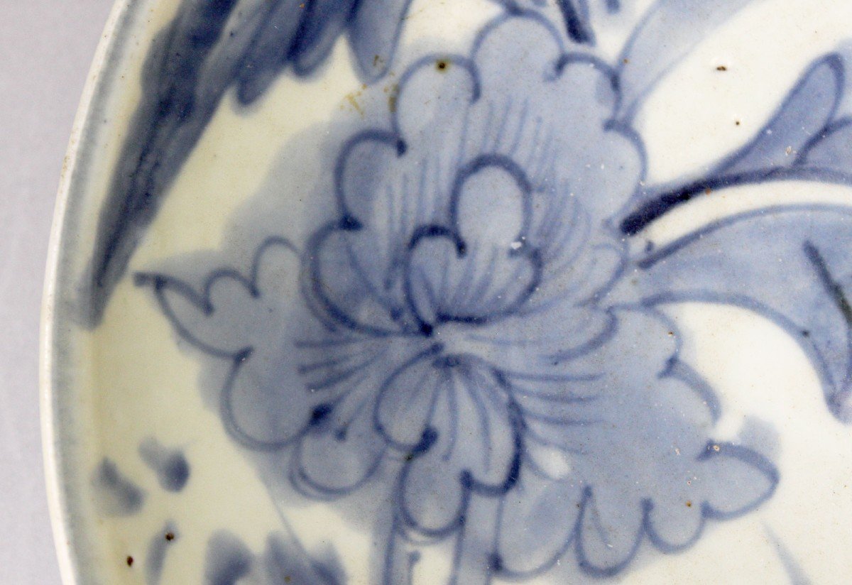 Chinese Porcelain Dish 1570-1650 Zhangzhou Swatow Ming Dynasty-photo-1