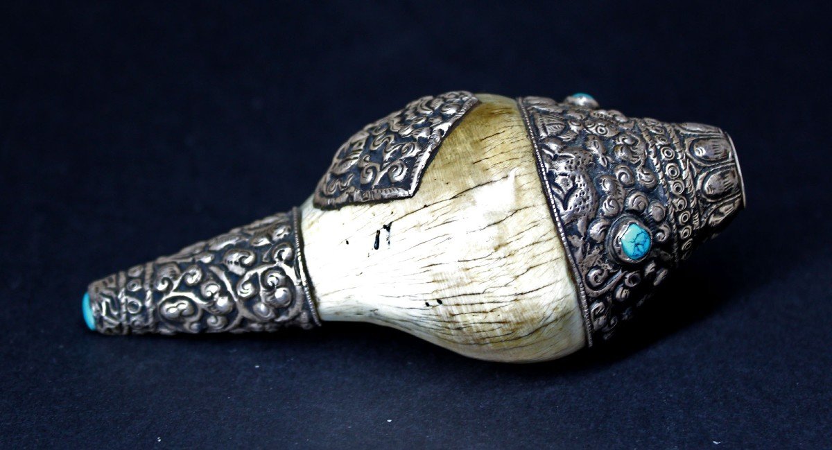Tibetan Buddhist Ritual Conch Shell With Silver Mounts Buddha -photo-4