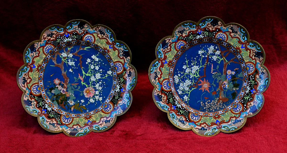 Paire de Plats Japonais en Émail Cloisonné à Décor Floral, Époque Meiji, XIXe Siècle