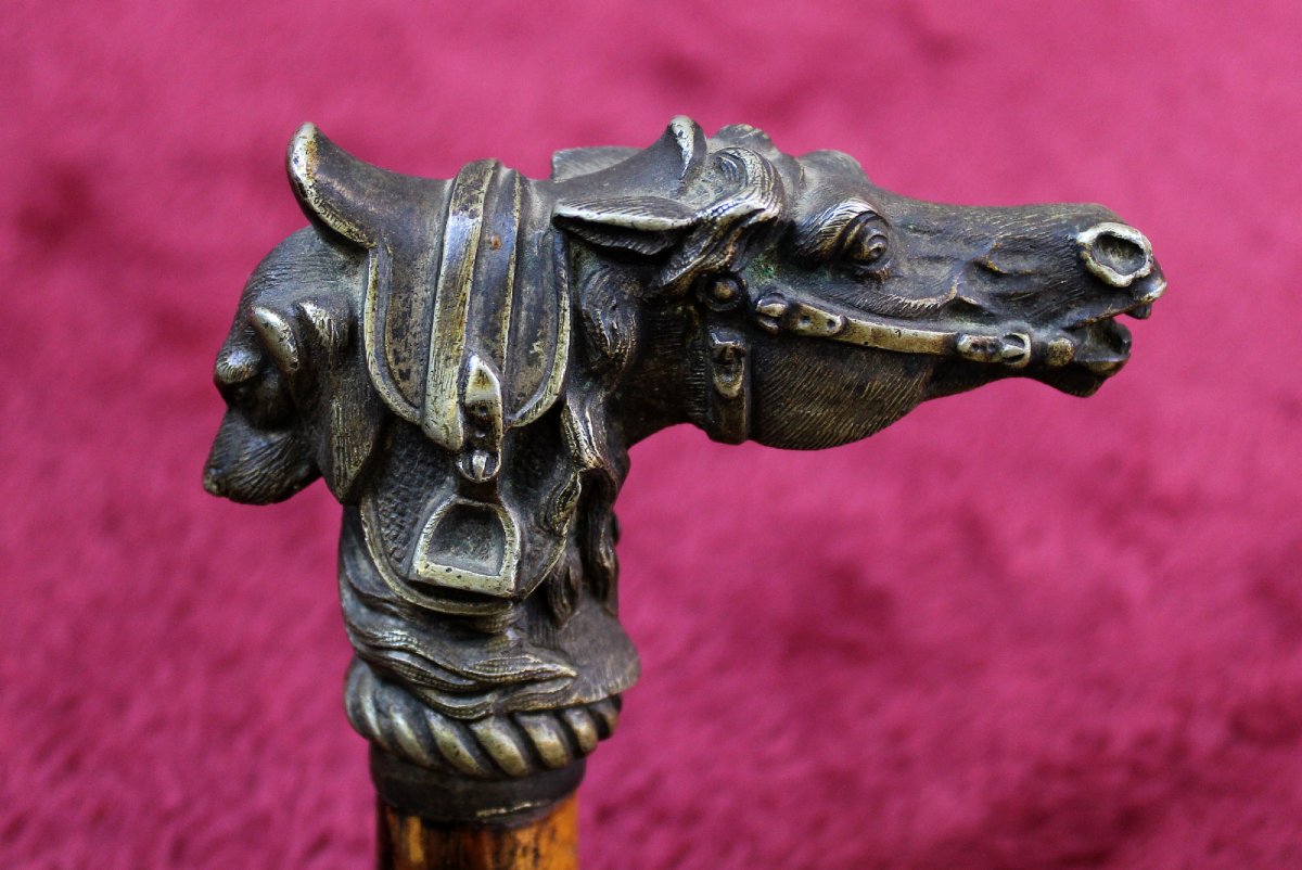 Antique Bronze Dog & Horse Head Walking Cane, Fox Hunting Theme, C19th-photo-4