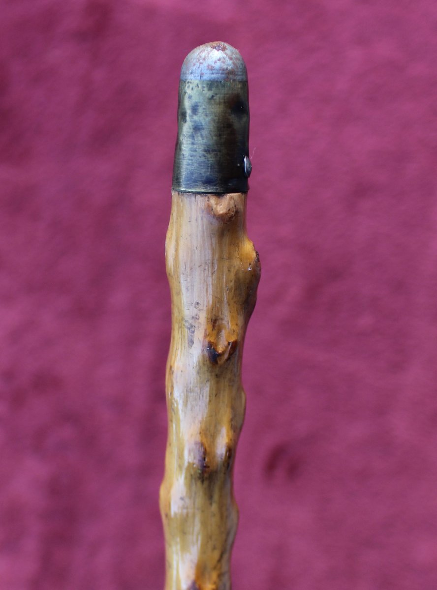 Antique Russian Siberian Elk Antler Portrait Head Walking Stick / Cane, C19th-photo-4