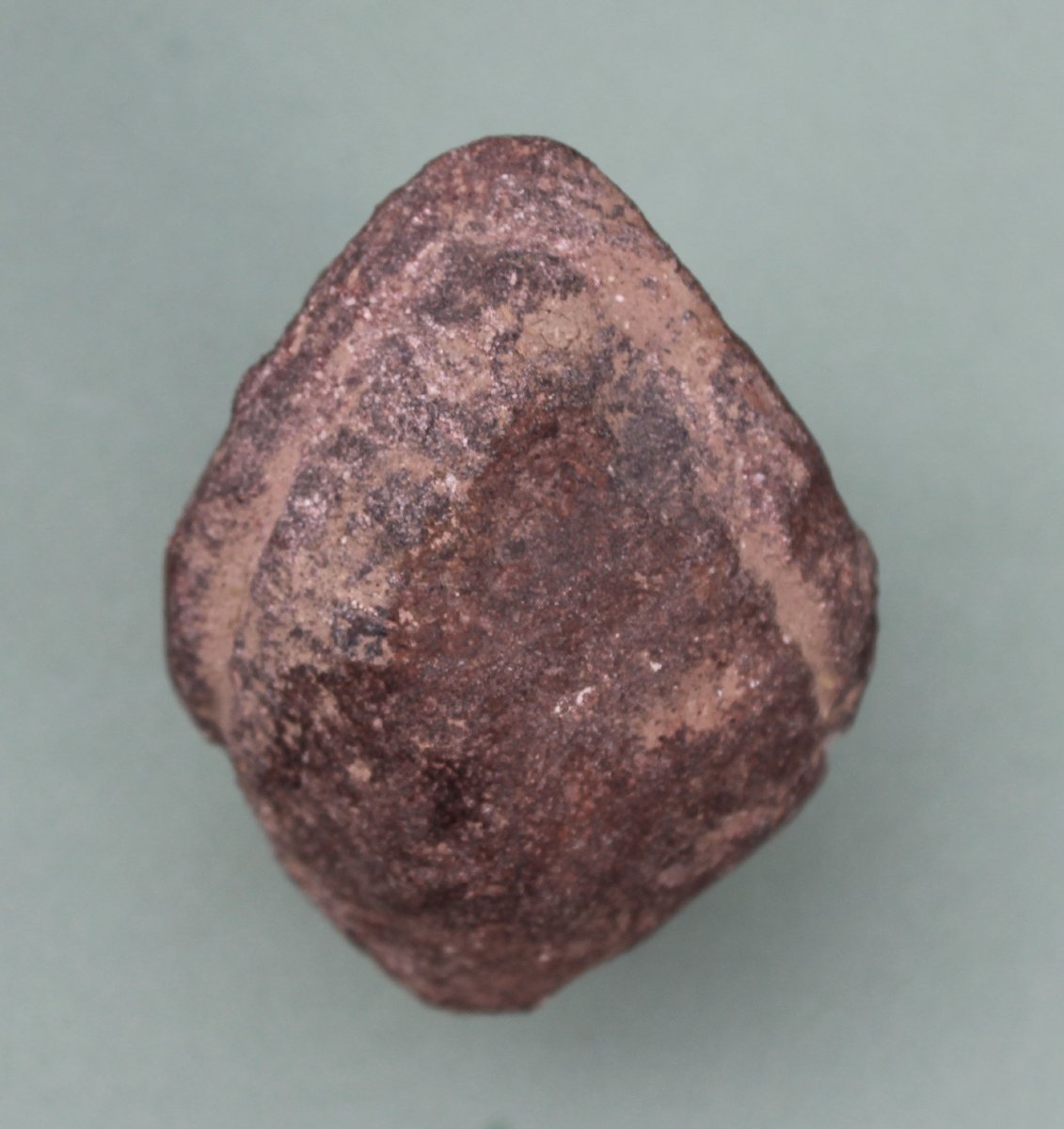 Tête Romane Française Ancienne en Pierre, Grès Rouge, XIe–XIIe Siècle-photo-3