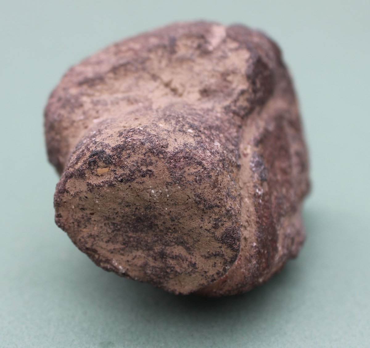 Tête Romane Française Ancienne en Pierre, Grès Rouge, XIe–XIIe Siècle-photo-4