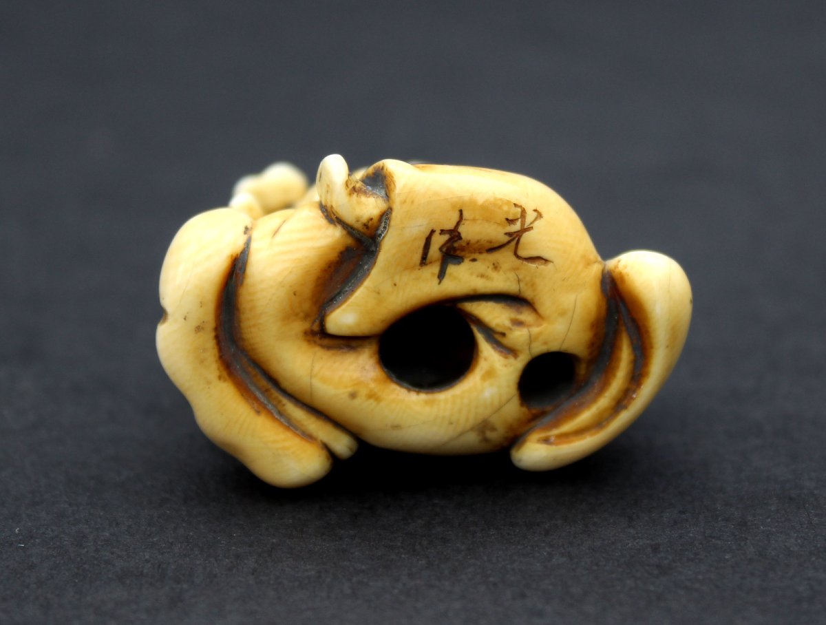 Netsuke Japonais Ancien En Ivoire Kikujidō Enfant Au Chrysanthème Signé Yasumitsu Époque Edo-photo-2