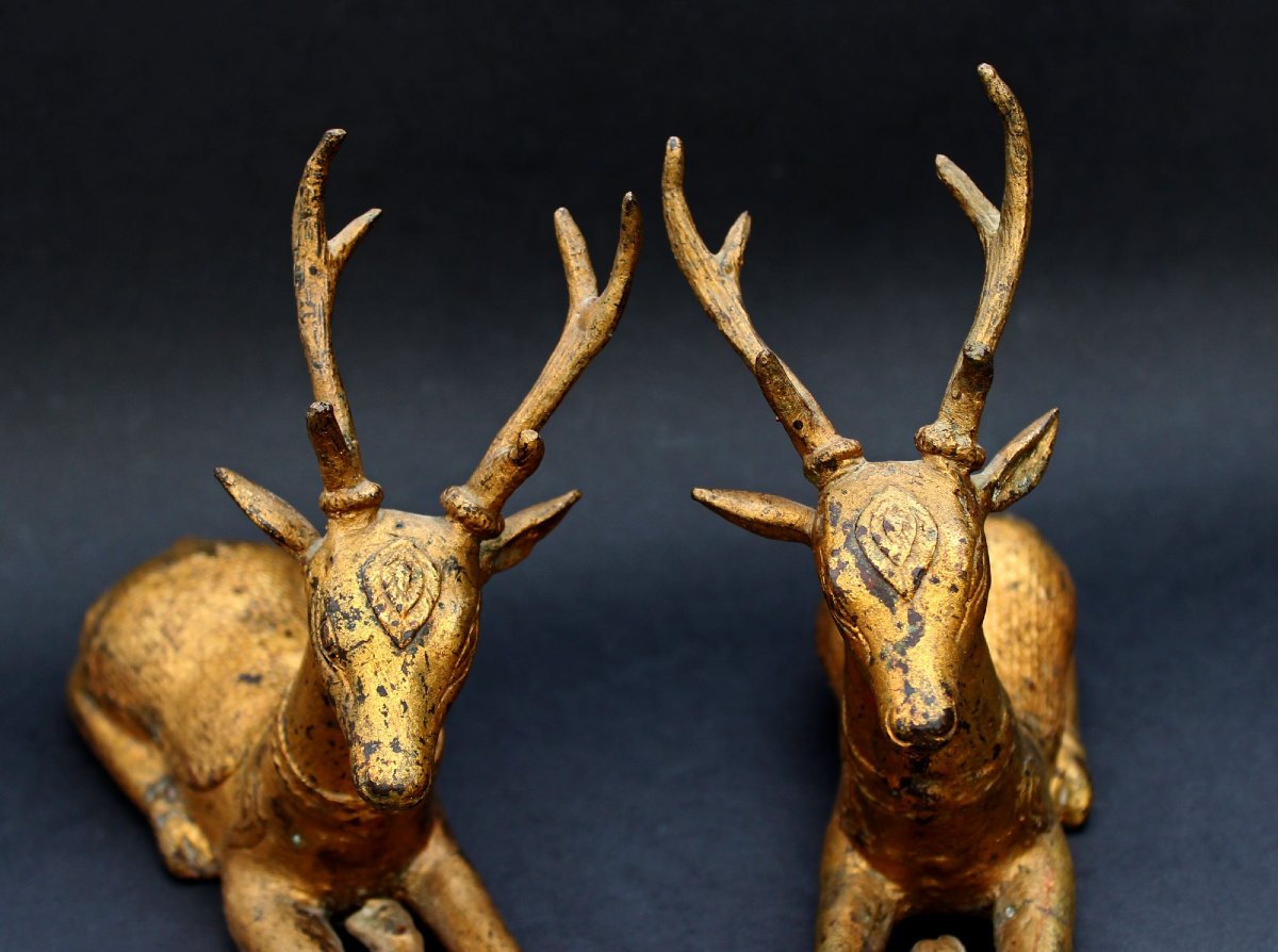 Antique Thai Gilt Bronze Reclining Temple Deer Pair, Buddhist Altar Figures, C19th -photo-1
